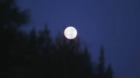 Super moon 3 close up 스톡 동영상 41689482