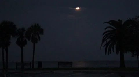 Super Moon And Palm Tree FloridaStorm29 Stock Footage 25209629