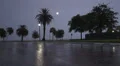 Super Moon And Palm Tree FloridaStorm20 HD Footage
