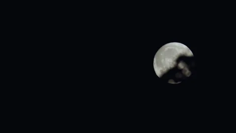 Super moon with defocused leafs in the foreground. With audio. Version 1 Stock Footage 287774217