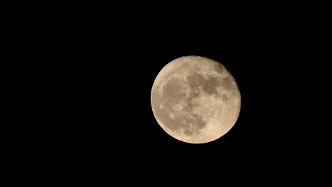 Super Moon November 14 2016 Largest Full Moon Since 1948 Stock Footage 83696646