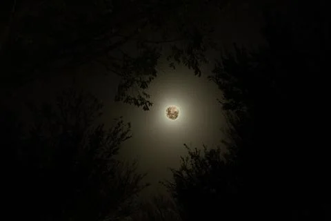 Super moon Stock Photos