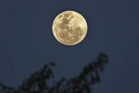 Super Moon Stock Photos