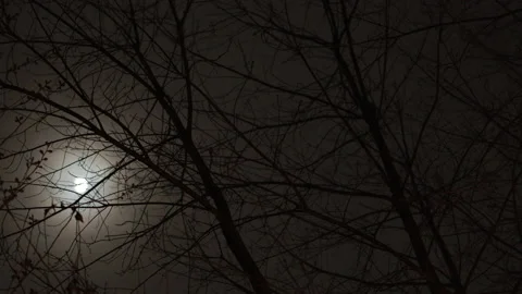 Super Moon Timelapse With Moving Clouds Video stock 130544824
