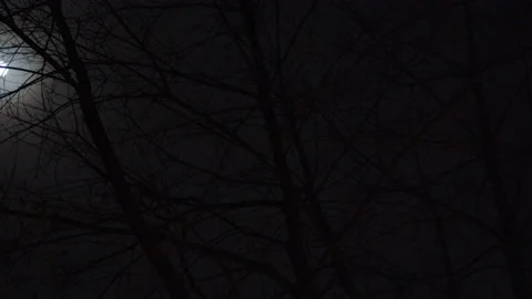 Super Moon Timelapse With Moving Clouds Video stock 130544955