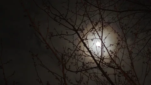 Super Moon Timelapse With Moving Clouds Video stock 130545185