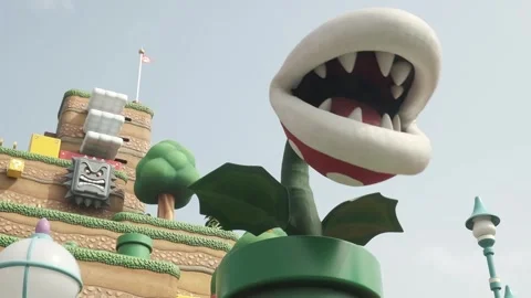 Super Nintendo World Landscape Stock Footage 250566044
