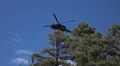 Super slo mo blackhawk comes out from behind trees HD-videomateriaal