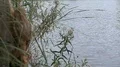 super slo mo dragon fly activity over water HD Footage