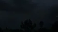 super slo mo powerful lightning strike with joshua tree palm tree silhouettes HD Footage