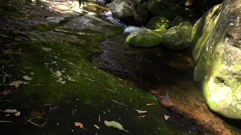 Super Slow Isolated Nature With a Clean Tropical  Jungle River Stock Footage 130223580