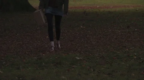 Super Slow Mo: Autumn evening Shopper HD Stock Footage 42940653