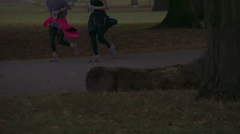 Super Slow Mo: Autumn Jogging Pair HD Stock Footage 42942463