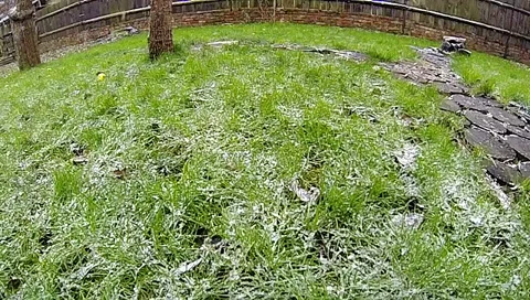 SUPER SLOW MO Snow Stock Footage 33066516