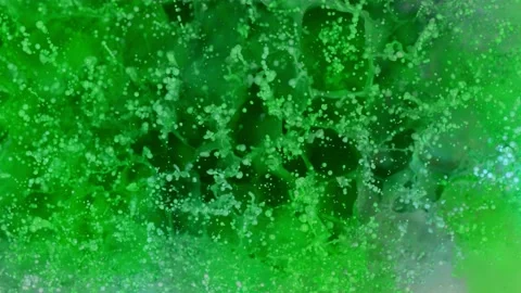 Super slow motion of abstract colored splashes explosions filmed from top. Stock Footage 138040980