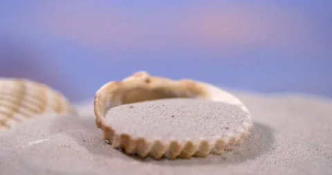 Super Slow Motion Artistically Rendered Shell Lines Highlighted Through Peaceful Stock Footage 335848220