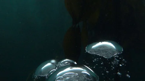Super Slow Motion Bubbles rising from the deep 動画素材 128183482