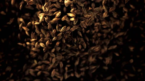 Super slow motion a bunch of rye grains go up. Filmed on a high-speed camera at Stock Footage 163610912