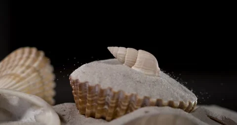 Super Slow Motion Buried Shell On Black Backdrop Stock Footage 335109088