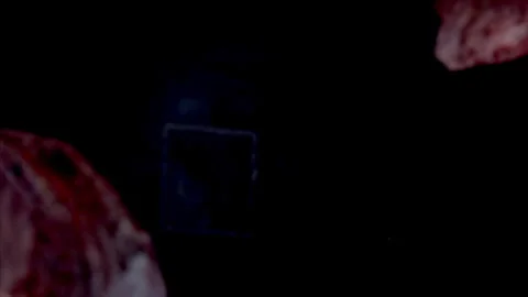 Super Slow Motion Cacao bean Flying Towards Camera on Black Background at 1000fp Stock Footage 265076894