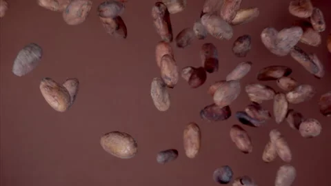 Super Slow Motion Cacao bean Flying Towards Camera on Brown Background at 1000fp Stock Footage 265082870