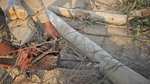 Super Slow Motion of a Chainsaw Cutting the Wooden Log. 1000 fps video clip Stock Footage 265535895