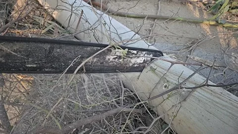 Super Slow Motion of a Chainsaw Cutting the Wooden Log. 1000 fps video clip Stock Footage 265535905