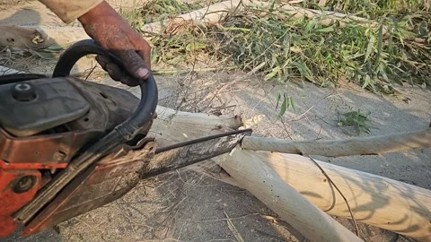 Super Slow Motion of a Chainsaw Cutting the Wooden Log. 1000 fps video clip Stock Footage 265535933