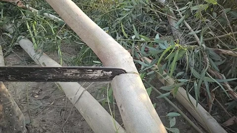 Super Slow Motion of a Chainsaw Cutting the Wooden Log. 1000 fps video clip Stock Footage 265536056