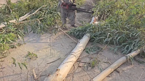 Super Slow Motion of a Chainsaw Cutting the Wooden Log. 1000 fps video clip Stock Footage 265536092