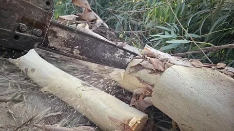 Super Slow Motion of a Chainsaw Cutting the Wooden Log. 1000 fps video clip Stock Footage 265536132