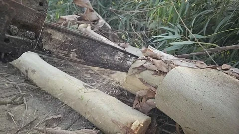 Super Slow Motion of a Chainsaw Cutting the Wooden Log. 1000 fps video clip Stock Footage 265536152