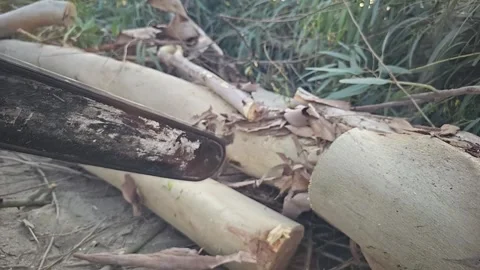 Super Slow Motion of a Chainsaw Cutting the Wooden Log. 1000 fps video clip Stock Footage 265536155