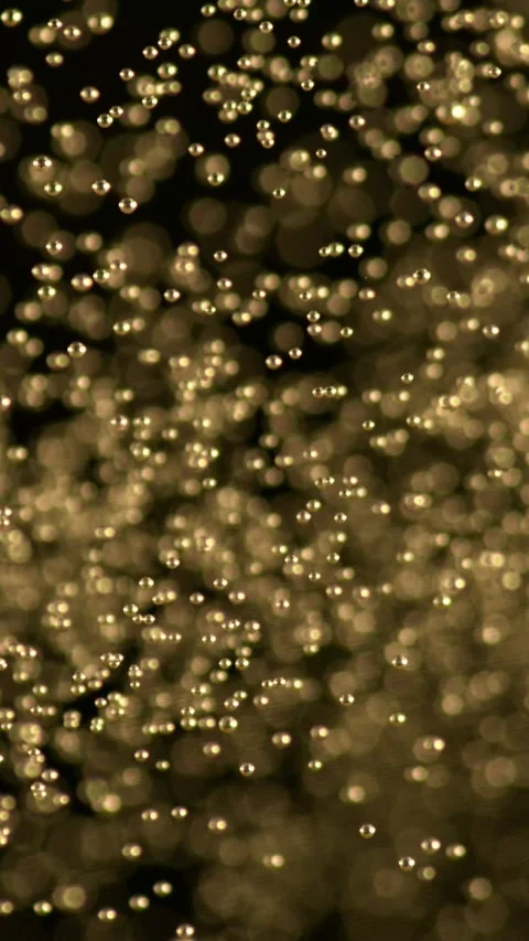 Super Slow Motion of Champagne Bubbles Texture. Vídeo Stock 290311260
