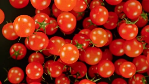 Super slow motion of cherry tomatoes flying on black background. Stock Footage 239907800