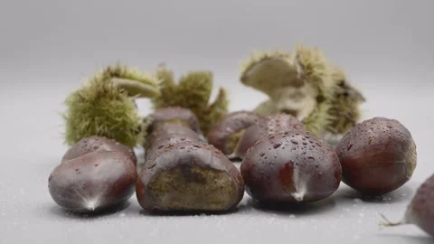 Super slow motion chestnut falls into a group of ripe chestnuts. 库存影片 141747968