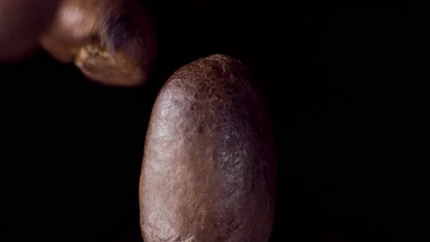 Super Slow Motion Coffee Beans bouncing on rich Black Background at 1000fps Stock-Footage 163721353