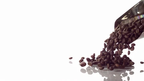 Super Slow Motion Coffee Beans falling from scoop on White Background at 1000fps 스톡 동영상 163724319