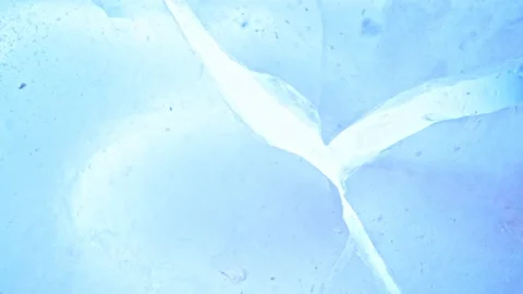 Super slow motion of cracking piece of ice on white background Vídeo Stock 168995023