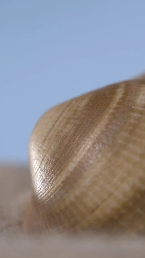 Super Slow Motion Detailed Macro Of Seashell Resting On Textured Sand Under Sky Stock Footage 335109160