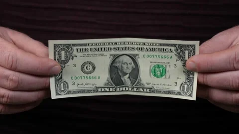 Super slow motion. Dollars in hand, money in hand, counts the money Stock Footage 169641314