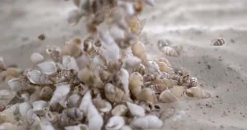Super Slow Motion Dramatic Animation Showcasing Swirling Shells And Drifting Stock Footage 335109208