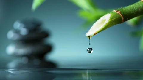 Super slow motion of dripping drops from bamboo, spa and wellness concept. Stock Footage 123613749