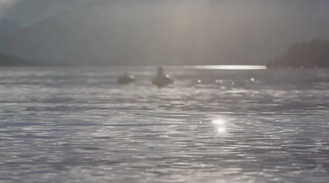 Super Slow Motion - Ducks In distance Stock Footage 25365049
