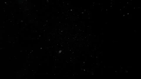 Super Slow Motion Dust Particles Floating in Air, Atmospheric Overlay at 1000fps Stock Footage 340470545
