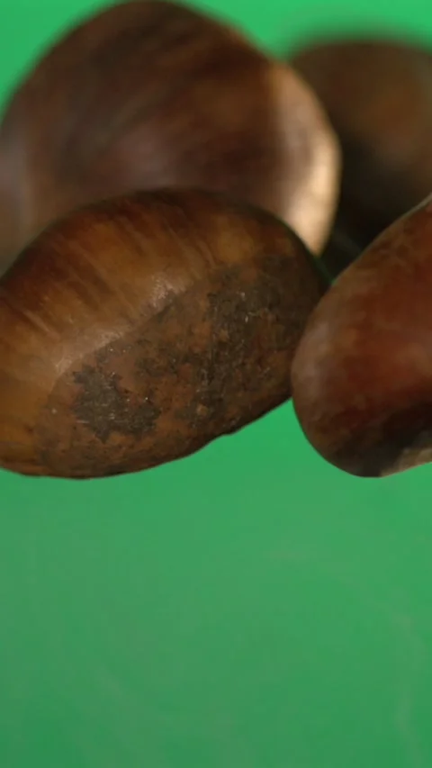 Super slow motion Expertly captured studio photograph displaying chestnuts set Stock Footage 326276400