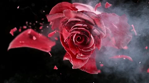 Super slow motion of exploding head of red rose, frozen by liquid nitrogen Stock Footage 160438741