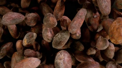 Super slow motion of exploding roasted cocoa beans up in the air 動画素材 152775971