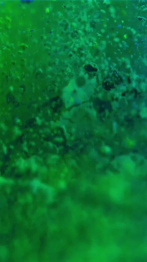 Super slow motion explosion of color powder. Filmed on a high-speed camera at 動画素材 335360134