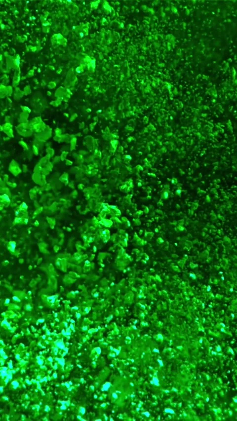 Super slow motion explosion of color powder. Filmed on a high-speed camera at 動画素材 335362092